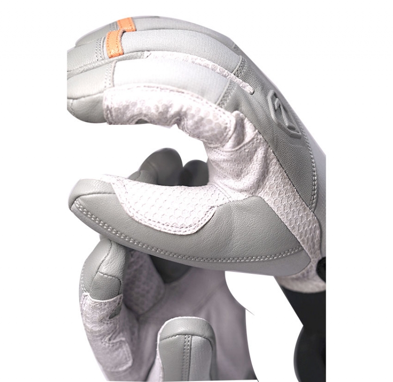 Ski gloves