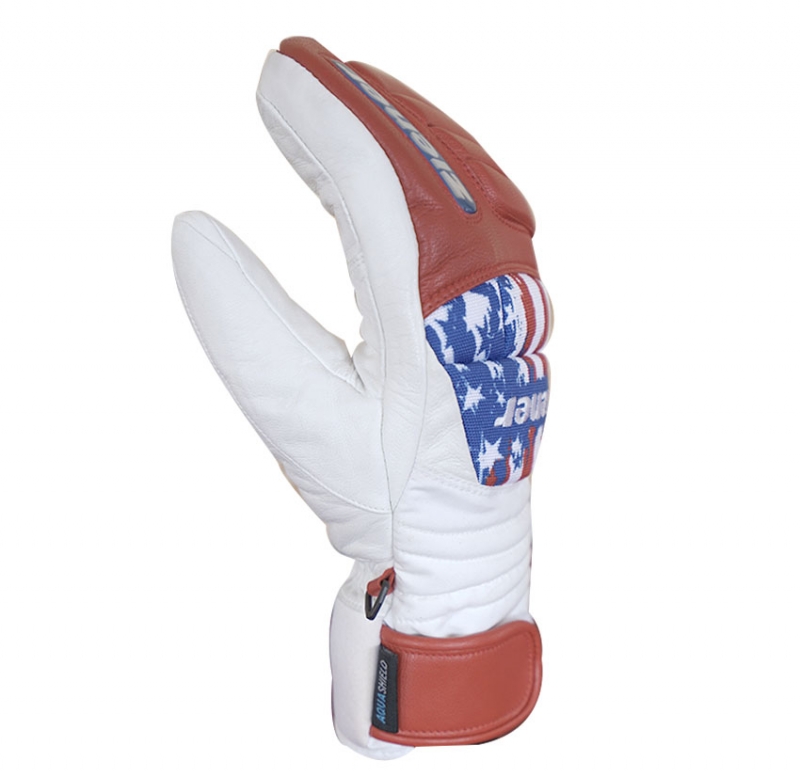 Ski gloves